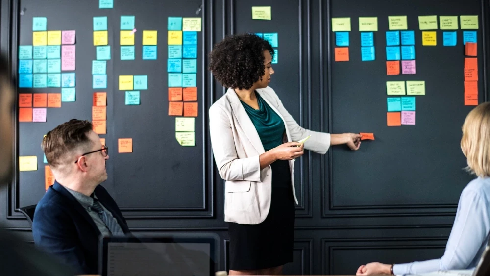 Conseil d'entreprise par Catapulse